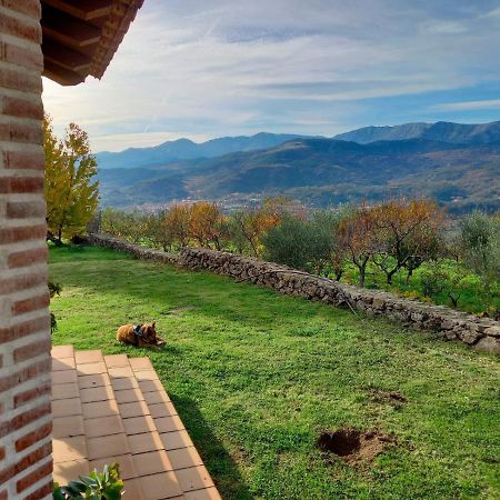 Villa La Cirujana De Gredos San Esteban Del Valle Exterior foto
