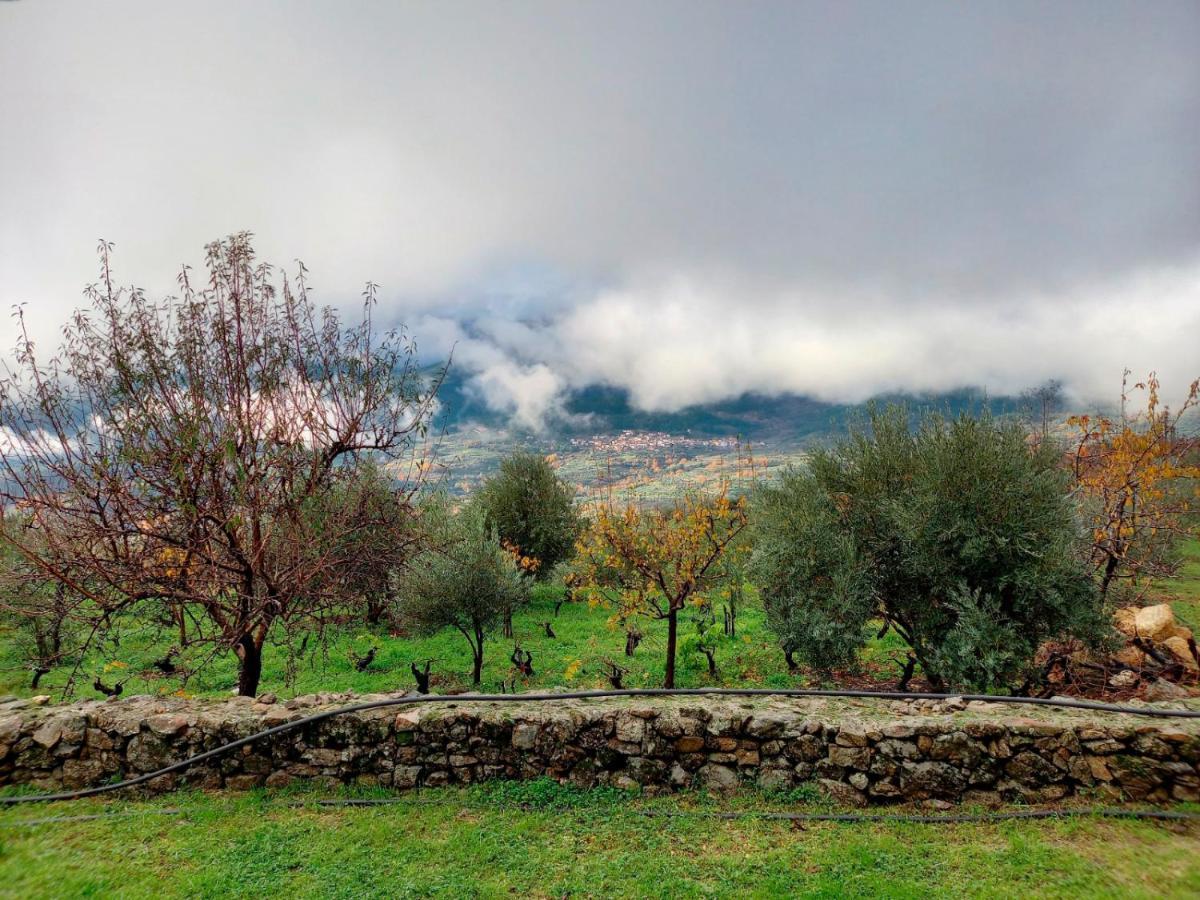 Villa La Cirujana De Gredos San Esteban Del Valle Exterior foto